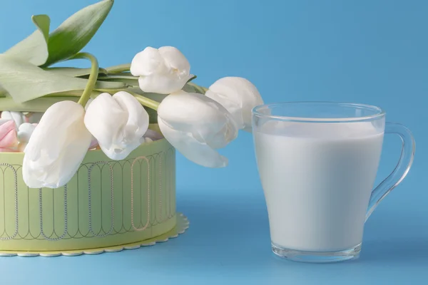 Ramo de primavera de tulipanes blancos — Foto de Stock