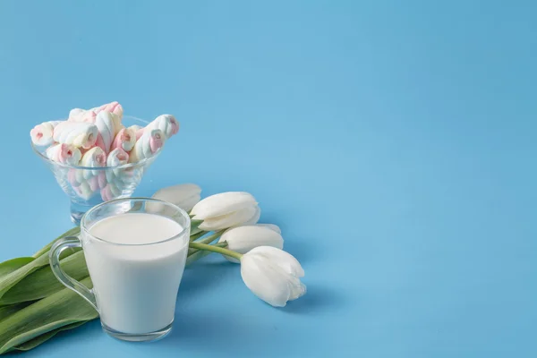 Lait amd fleurs sur fond bleu — Photo