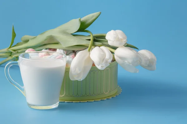 Bouquet de printemps de tulipes blanches — Photo