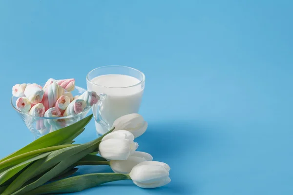 Leche y flores sobre fondo azul — Foto de Stock