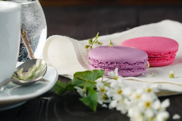 Macaroons e flor de primavera — Fotografia de Stock