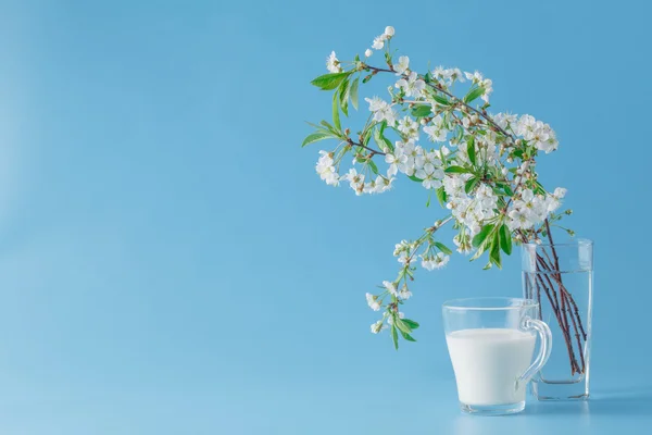 Ramo de primavera de ramas de flores de cerezo — Foto de Stock