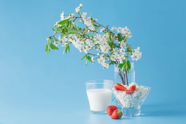 Queso, leche y fresas . — Foto de Stock