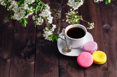 fincan kahve ve çiçek açan dal kiraz ağacı