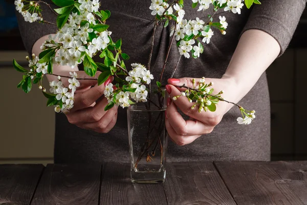 여자 손에 나무 꽃 — 스톡 사진