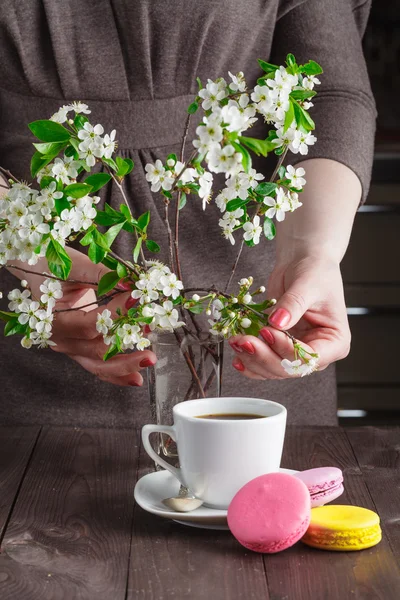 Concepto de desayuno primavera — Foto de Stock