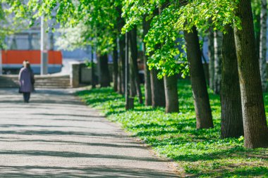 güneşli bir gün, geçit kaplı egzersiz için kamu parkı 