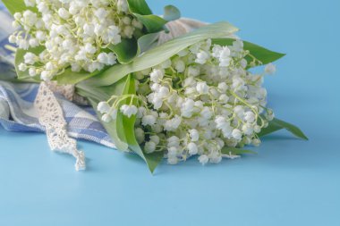 hafif mavi arka plan Lily vadi 