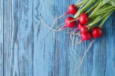 Mavi renkli bo gelen genç bir turp karşı ilk hasat