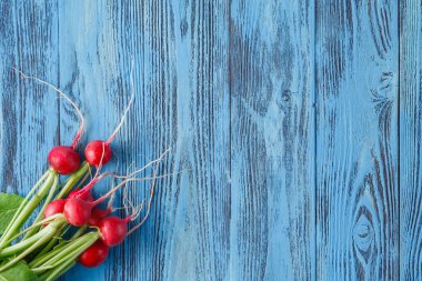 Mavi renkli bo gelen genç bir turp karşı ilk hasat