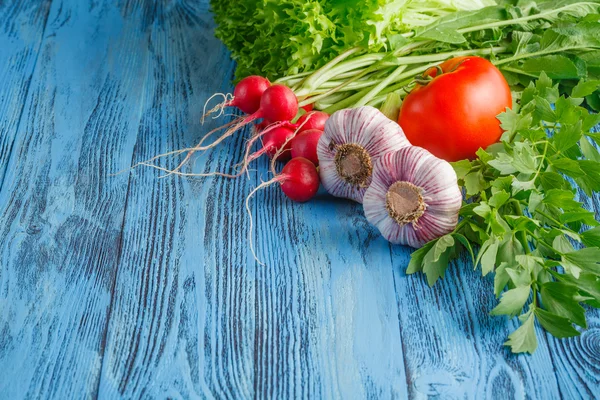 Ingredientes frescos de salada - rabanetes, pepino, pimentão doce , — Fotografia de Stock