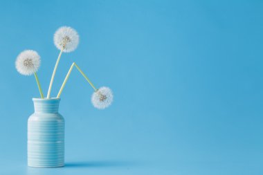 Üç tandelions basit birleşim. Minimalizm