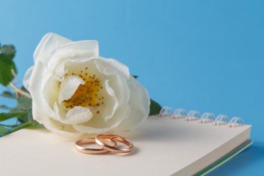 Alyans ve yabani gül