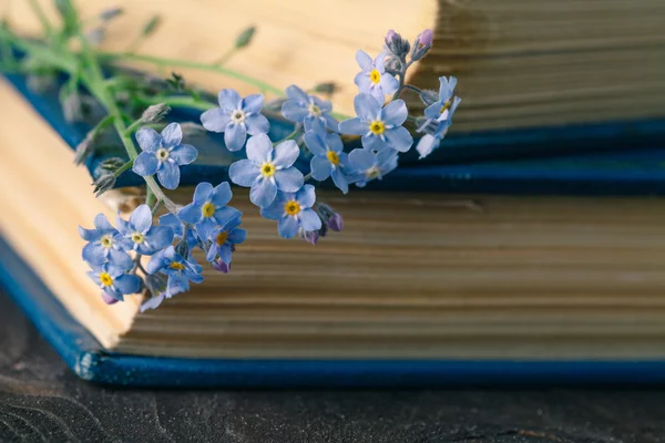 Um bando de flores esquecidas e um livro muito antigo. — Fotografia de Stock