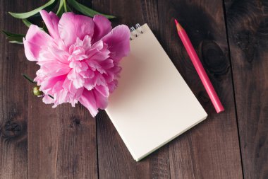 Defter bir kalem ve peonies çiçekler üzerinde ahşap backgro ile