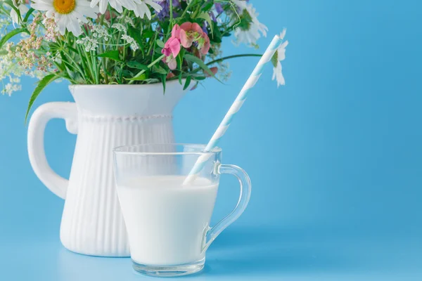 Vaso de leche fresca con paja para beber — Foto de Stock