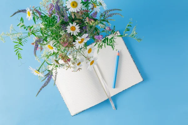 Vadvirágok és a Jegyzettömb, a sima kék háttér — Stock Fotó