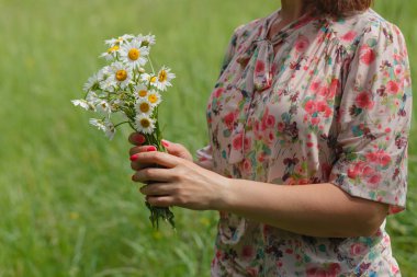 Güneşli yaz gününde papatyalı bir kadın eli.