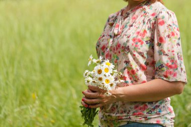 el tutmak bir beyaz camomiles