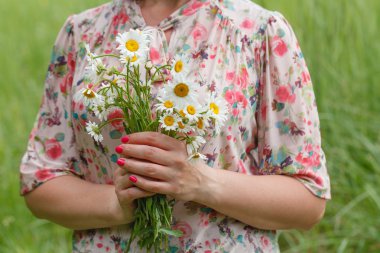 el tutmak bir beyaz camomiles