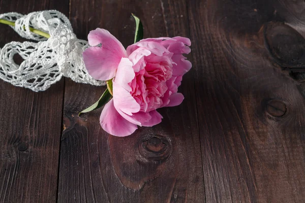 Un piccolo fiore di peonia su sfondo di legno scuro — Foto Stock