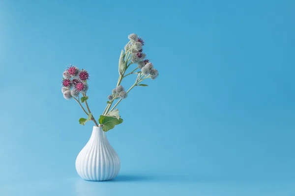 Burr poubelle dans un vase — Photo