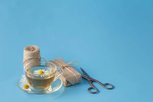 Taza de té de hierbas con flores de manzanilla — Foto de Stock