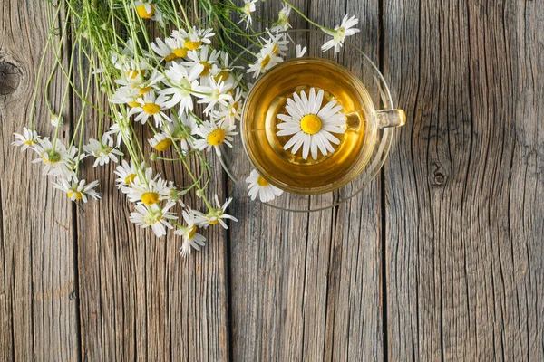 Teh herbal dengan herbal organik dalam gelas — Stok Foto