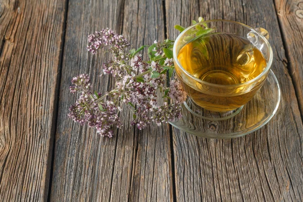 Стакан чая и травы орегано — стоковое фото