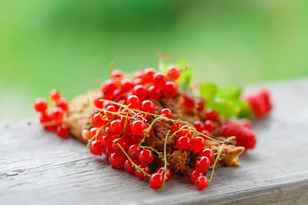 Reife rote Johannisbeere auf dem hölzernen Hintergrund — Stockfoto