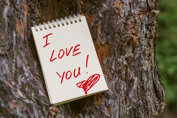 Повідомлення про любов на блокноті в лісовій корі сосни — стокове фото