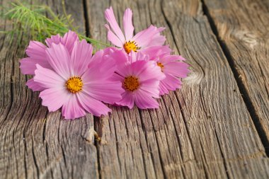 ahşap arka plan üzerinde çiçekler. 