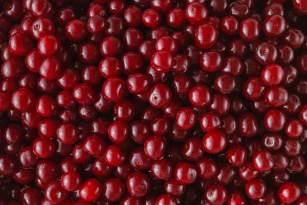 Fresh shiny cherries — Stock Photo, Image