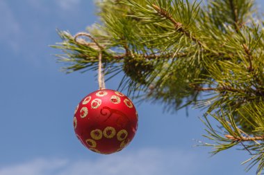 Kırmızı küre mavi gökyüzüne karşı bir Noel ağacı üzerinde asılı