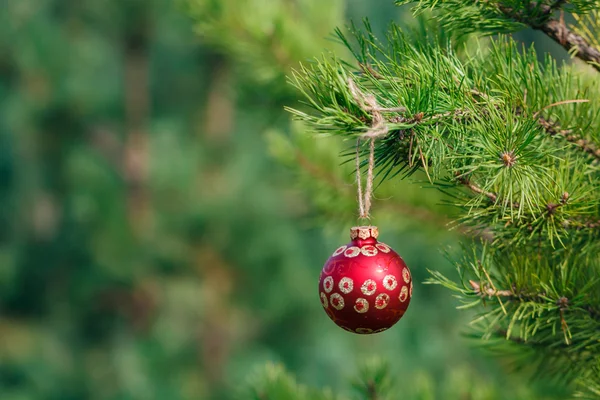 Decoration on traditional christmas tree — Stock Photo, Image