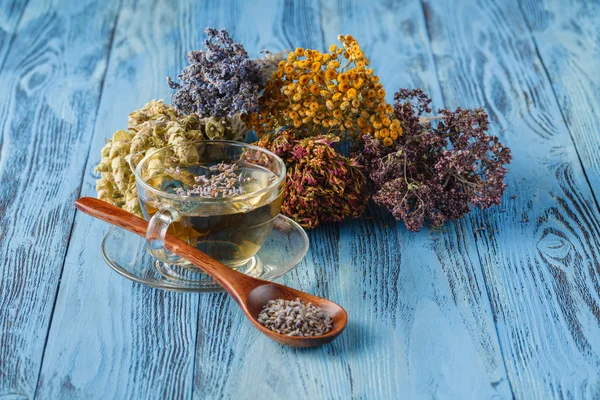 Té aromático de lavanda y manzanilla silvestre — Foto de Stock