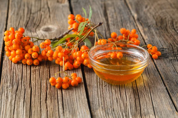 Bunch of rowan berries and bowl of honey — Stock Photo, Image