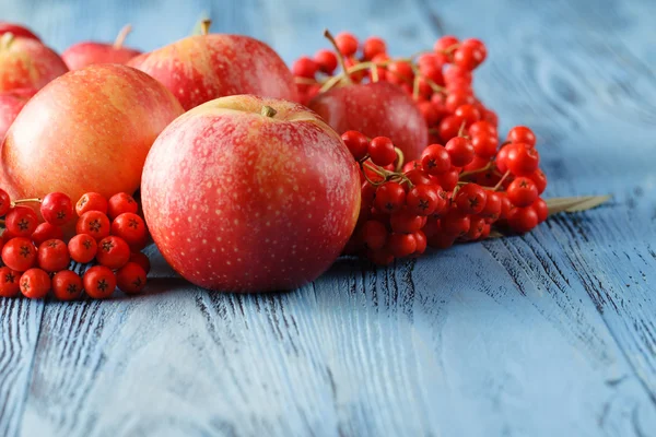 Jablka a rowan berry. Podzimní zátiší. — Stock fotografie