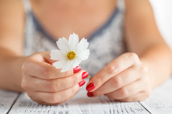 Händerna på en kvinna med blomma — Stockfoto