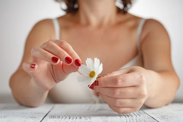 Stora vita daisy för spådom i mänsklig hand — Stockfoto