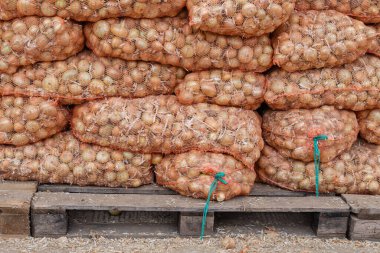 Paletlerde soğan, sebze deposu