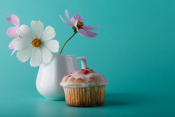 Muffin avec fleur. Aqua fond de couleur — Photo