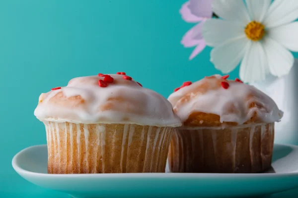 Muffin auf Untertasse mit Blume. Aquafarbener Hintergrund — Stockfoto