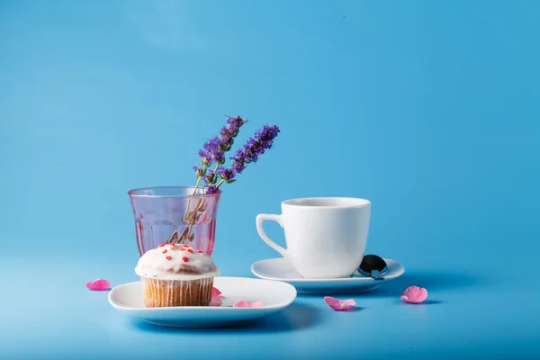 Muffin colorido en platillo con pétalo de flor — Foto de Stock