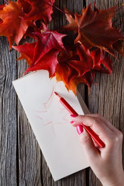 Çizim kalem ve defter ile el