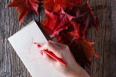 Çizim kalem ve defter ile el