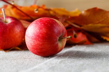 Kırmızı elma ve yaprakları