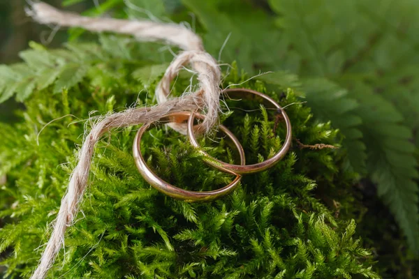 Due anelli nuziali dorati legati sul muschio — Foto Stock