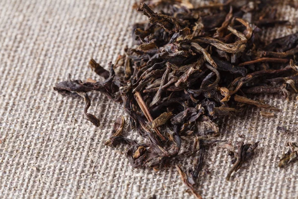 Té chino Puer, primer plano — Foto de Stock