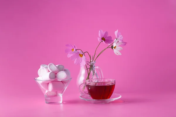 Malvavisco rosa sobre fondo rosa con flores — Foto de Stock